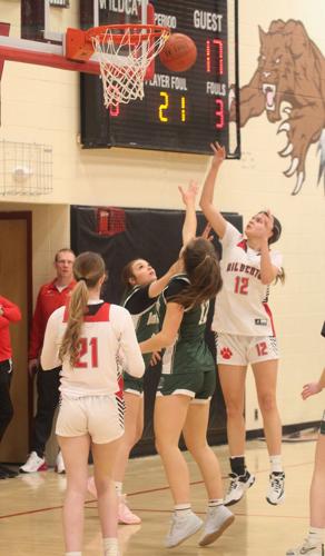 Alanna Bevilacqua.png